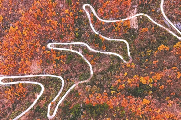 c5982c725998eb1f1ed02e875b75c4ab_W020240520308660730484.jpg